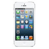 Apple iPhone 5 16Gb white - Кашира